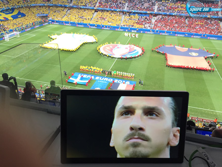 İbrahimoviçin İsveç millisindəki son oyunu - FOTOREPORTAJ